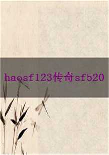  《haosf123传奇sf520》：职业选择与新手指南