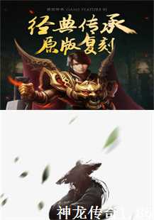  《神龙传奇1.85版：竞技怒斩，再续传奇辉煌》(第四张图片）