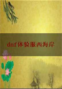 DNF体验服西海岸：药店的故事