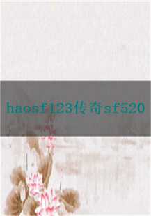 传奇游戏故事：haosf123与520的奇幻冒险