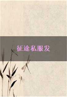 征途私服：挂机的乐趣与沙巴克的荣耀
