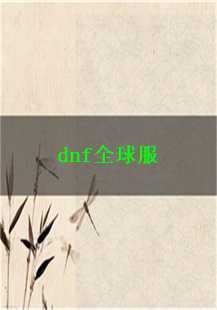  DNF全球服传奇游戏故事：一段史诗般的冒险旅程