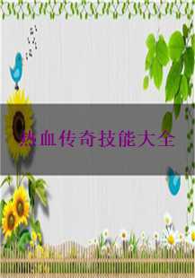  《热血传奇》技能大全：掌握你的英雄之路